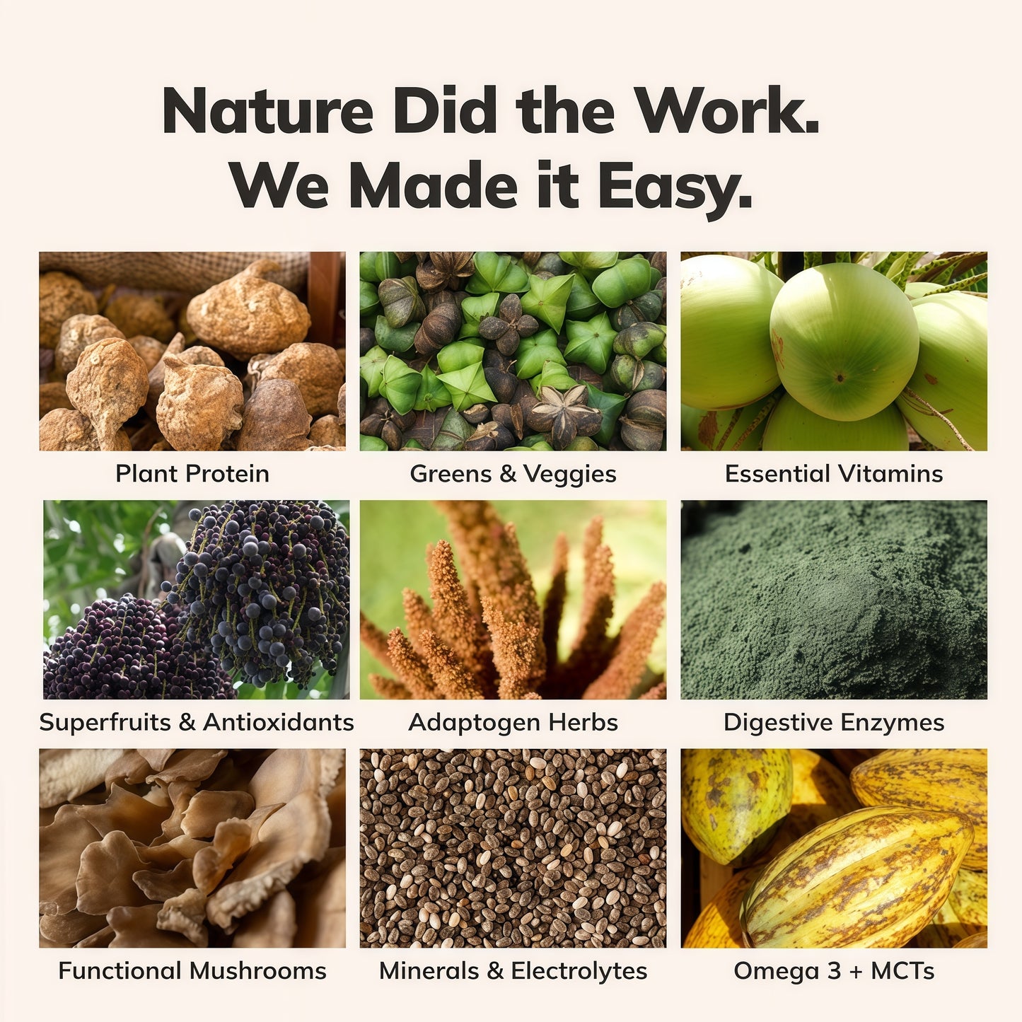 Ka’Chava Whole Body Meal Shake with Probiotics  Digestive Enzymes Gluten  Dairy Free