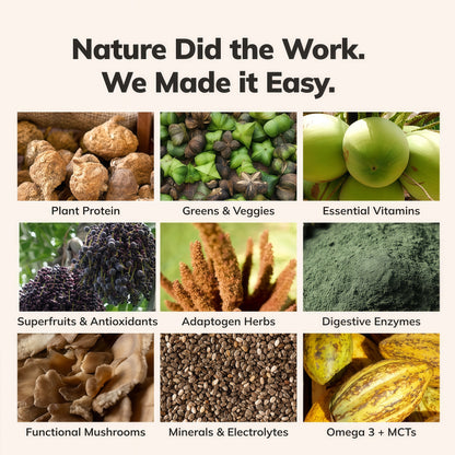 Ka’Chava Whole Body Meal Shake with Probiotics  Digestive Enzymes Gluten  Dairy Free